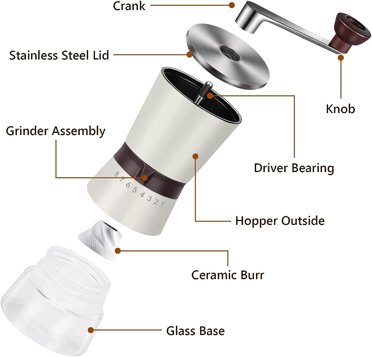 Coffee Grinder